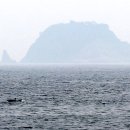 지에스25 법환포구 이미지