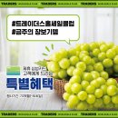 삼성카드(주) 이미지