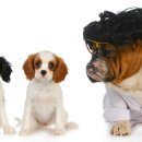 이스턴동물병원 이미지