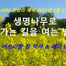 크리스천영성학교, 아브라함블레싱미니스트리 에미꼬순 유튜브 기독교 관련 사이트 검증 필요 이미지