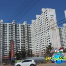 선산대로-23 이미지