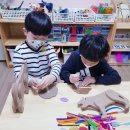꿀벌미용실 - 장흥군 | 꿀벌미용실