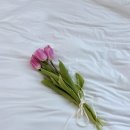 해피플라워앤카페 이미지