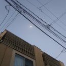 21세기광고공사 | [東京워홀 D+343]신칸센 타고 카나자와 여행🚄