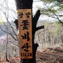 비산청과 이미지