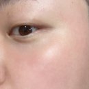 폴미라인