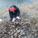 한빛농장 이미지