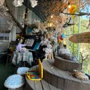 풀꽃농장 | [전남] 여수/순천/광주 근교 동물 농장, 다양한 동물 먹이주기 체험 ‘번덕뜰’