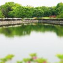 고양시청로 이미지