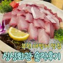 싱싱회관 | 부천 방어 맛집: 중동역 싱싱회관 대방어 내돈내산 솔직 후기