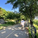 갈산공원(중간) 이미지