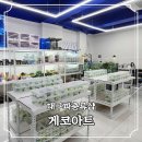 나의 작은 친구 반려돌 ; 스톤아트(월) | 대구파충류샵으로 유명한 대구이색체험 게코아트 방문 후기