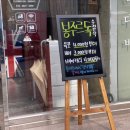 봉주르독 이미지