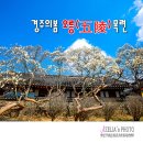 오릉 이미지