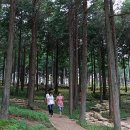 해도랜드 이미지