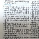 요한계시록21장 시온산정부조직도인 새예루살렘성 이미지