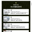 로스트볼 마켓 이미지