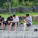 한들공원 이미지