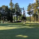 동경파크 이미지