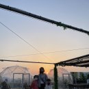 노을당구장 이미지