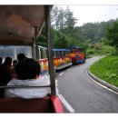 용연동굴 이미지