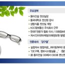 이에스피 이미지