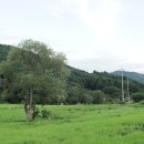 새아침주유소 이미지