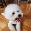 몽그리몽 이미지