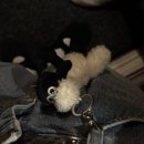 유스타 그루밍 | 7월 | 1000일, 뉴진스, 초복, 순규동