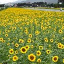 제천종합운동장 종합운동장 이미지