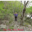 괴목민박 이미지