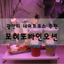 모히또바인오션 이미지