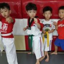 한국키즈태권도장 이미지