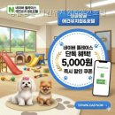 싱글댕글 애견유치원앤호텔 | 싱글댕글 애견유치원&amp;애견호텔 직접 보고 느낀 공간의 차이