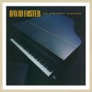 [2443] David Foster - Water Fountain 이미지