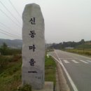 작은나무도서관 이미지