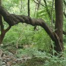 백양산 나들숲길 이미지