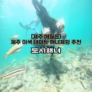 해녀 | [도시해녀] 제주도여행 이색 데이트 해녀체험 내돈내산 솔직후기