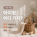 대구원색인쇄공사 | 이번 주 대구아이랑 놀기좋은 경북 나들이 추천 5곳