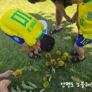 노블레스팬션 - 예산군 남은들로 68 | 노블레스팬션