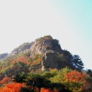 월매리(경북대부속학술림) | 청송 월매봉 월매지단풍 2