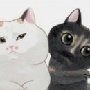 한별 반려동물 장례식장 이미지