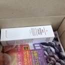 맘스터치 대전 송강점