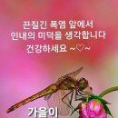 폭군의 세프, 드라마가 주는 즐거움들ㅎ 이미지