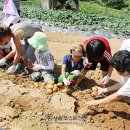 김영배농장 이미지