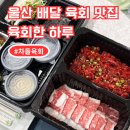 육회한 하루 | 울산 육회 맛집 육회한 하루 배달 후기 (불금의 행복🔥)