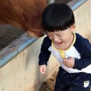 민형축사 네이버블로그