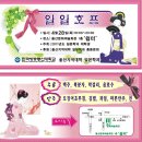 수정호프 Daum카페