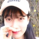 수지베어 이미지