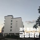 제주여관 | 제주협재 오션뷰숙소 금능여관 내돈내산후기